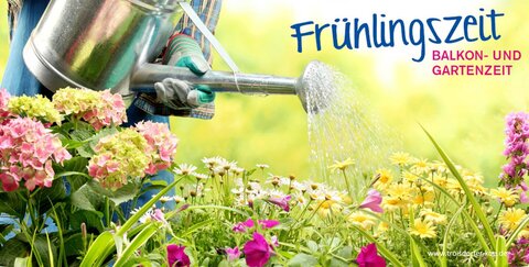 Jetzt kommt der Frühling zu Kodi