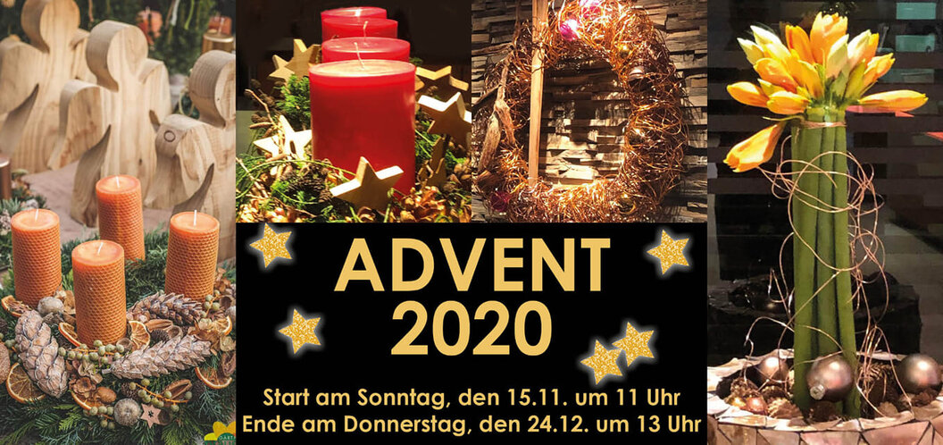 124395337_3478359128949979_4410175055965589156_o