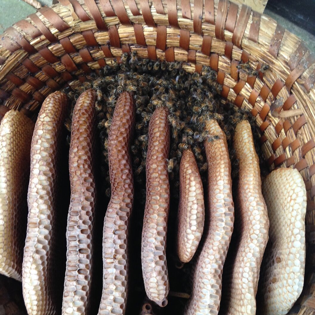 125838010_2772833896306500_8762418370851124251_o