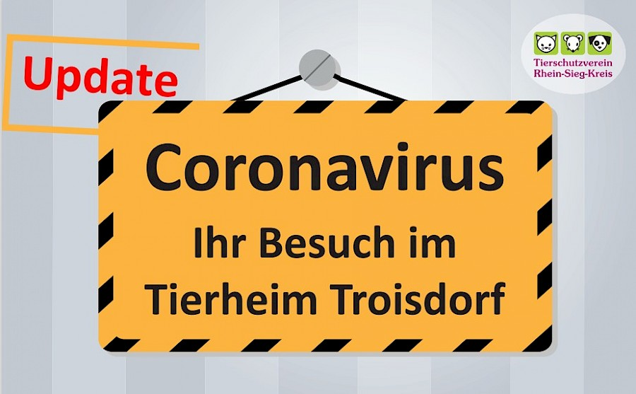 138261987_5269181349789423_770539108056349874_n