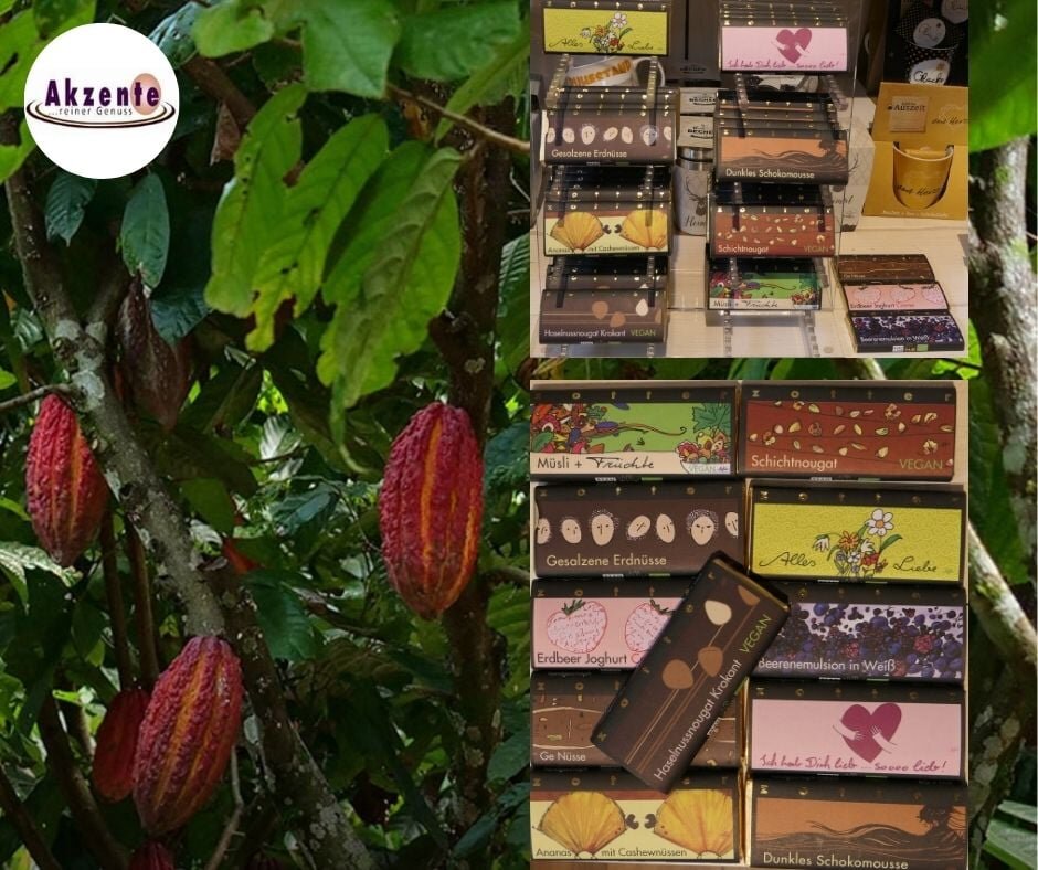 147598706_2931755703813199_5487002960566464331_n