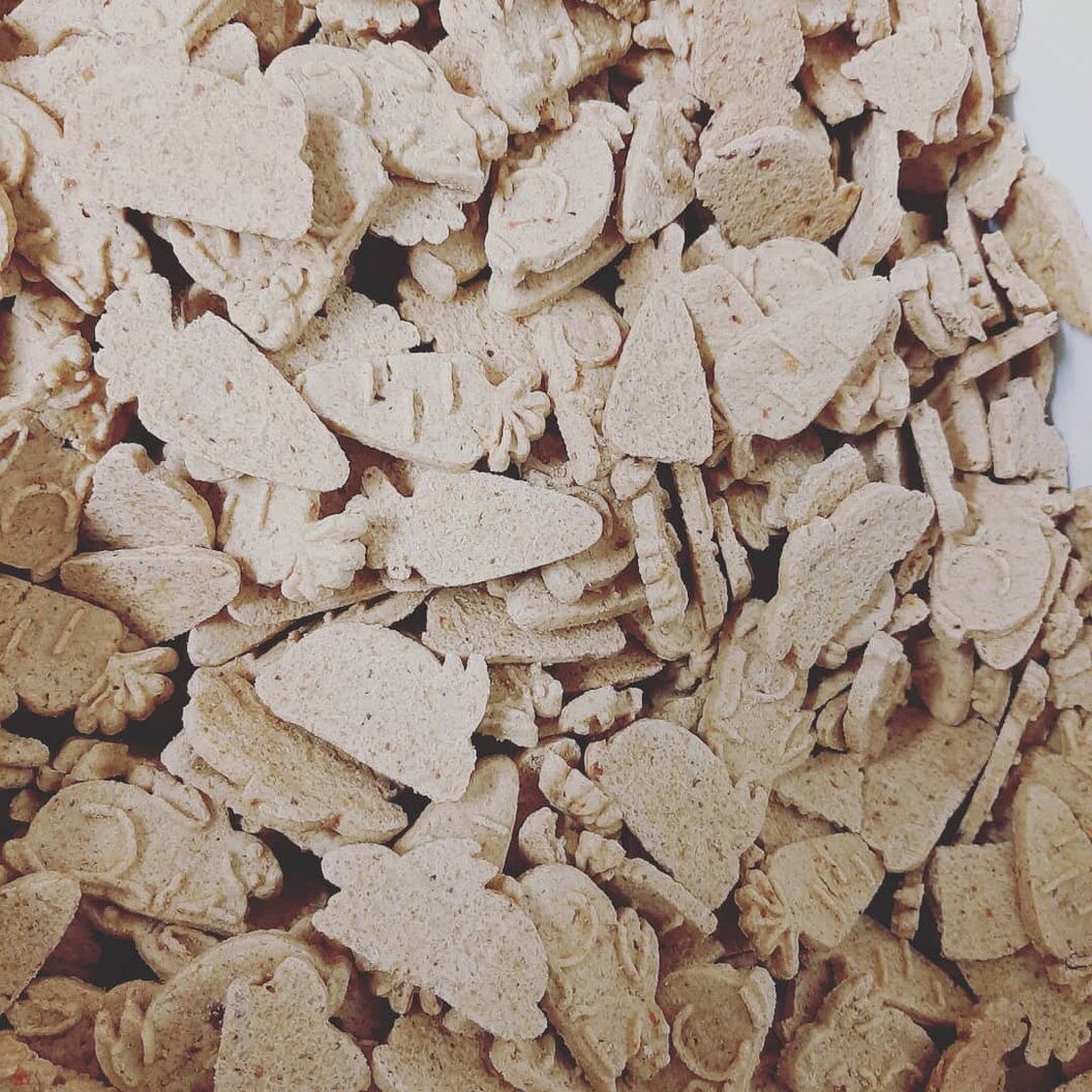 148328966_278601460353139_7465005768556553915_o