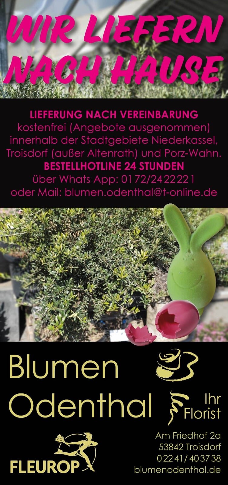 165458414_3841071672678721_8448563530311090795_o