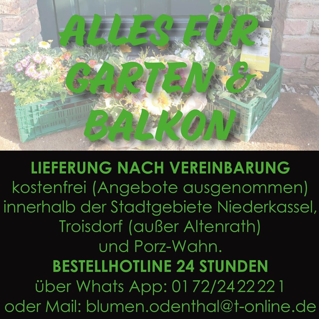 170883295_3876651212454100_123515383950343711_n