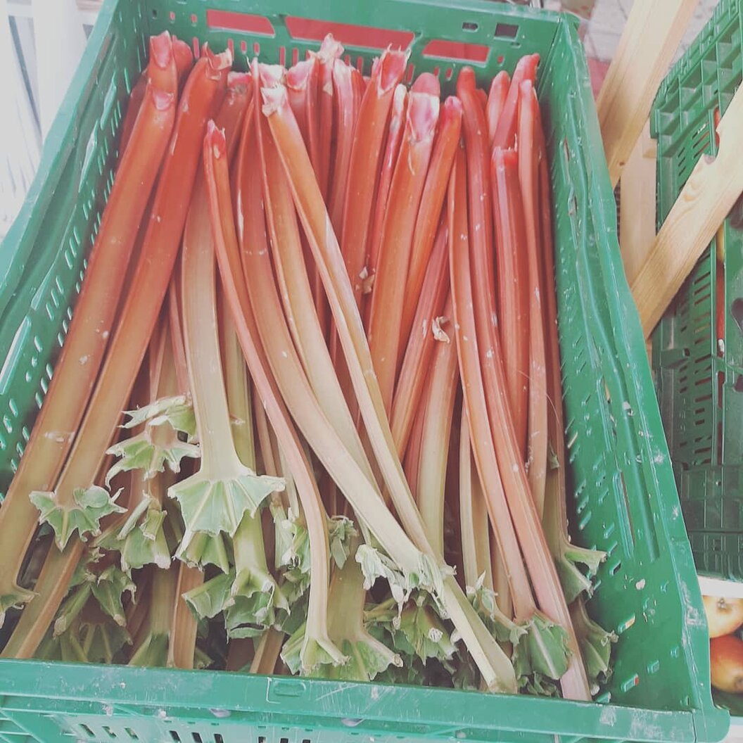 172639684_318513346361950_466311786012373795_n