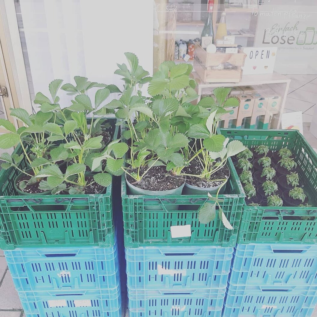 173091956_318513356361949_1539763007633769547_n