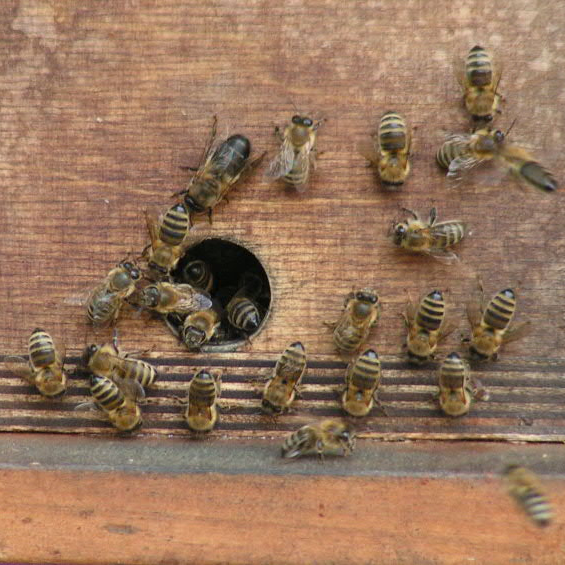 173380412_2880568102199745_8067594023949498281_n