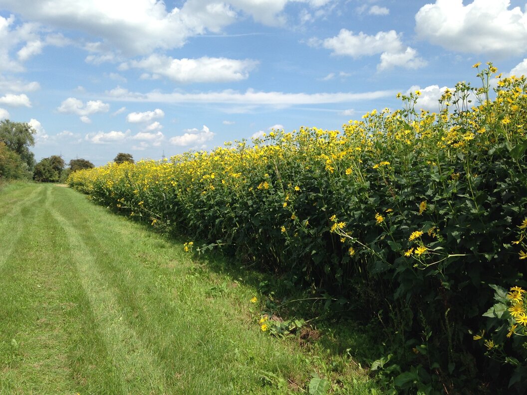 176135680_2885207958402426_4609588695341258261_n