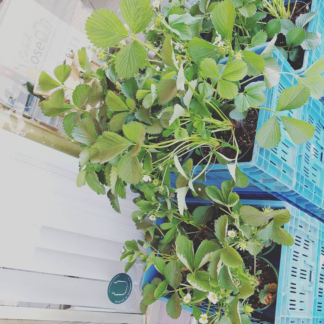 179075963_328457505367534_2470645458102562558_n