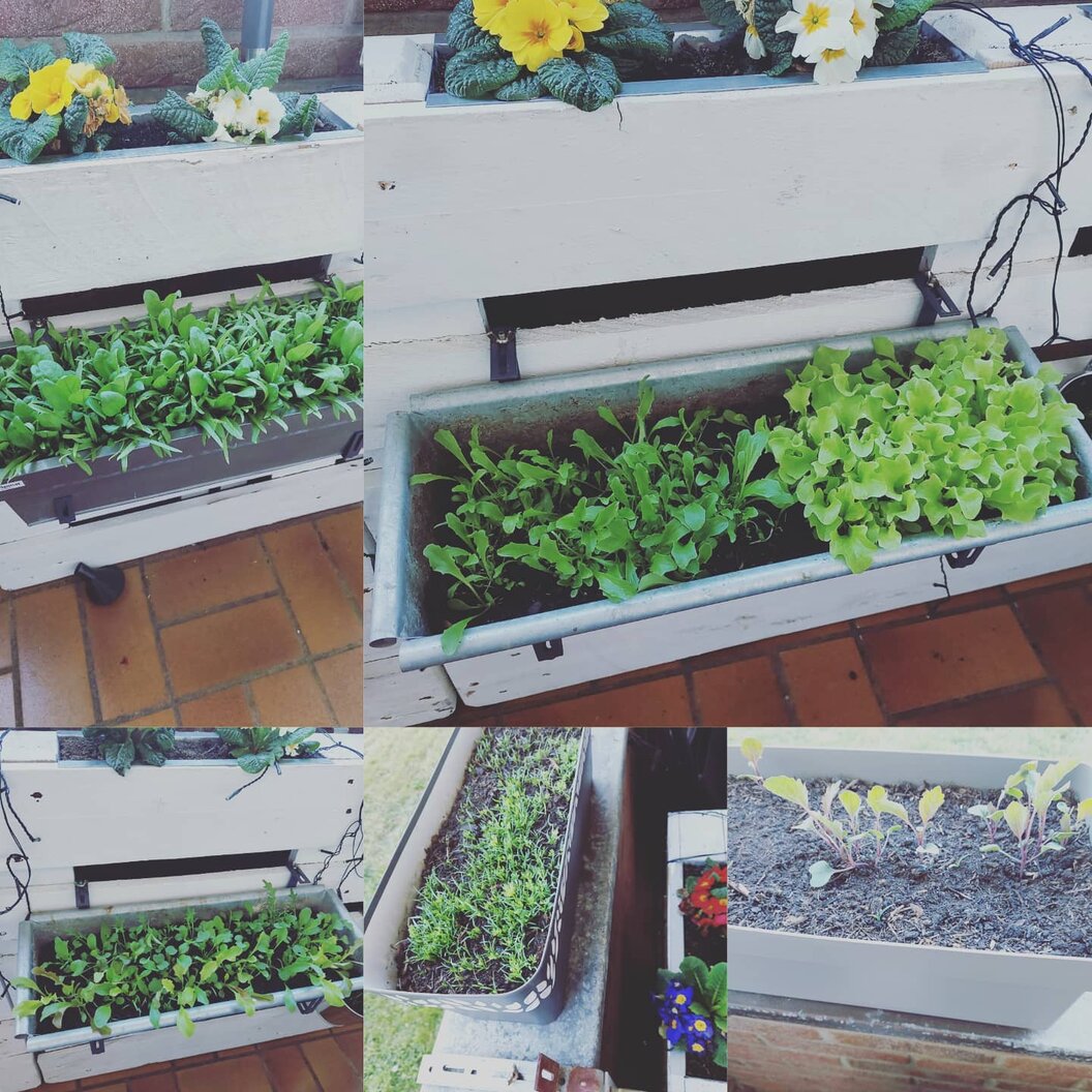 179121479_327802492099702_9110389041258284517_n