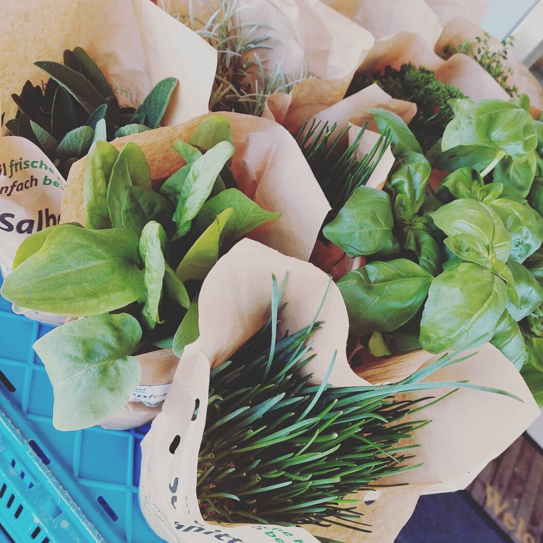 179495907_328457508700867_8339055504209883832_n