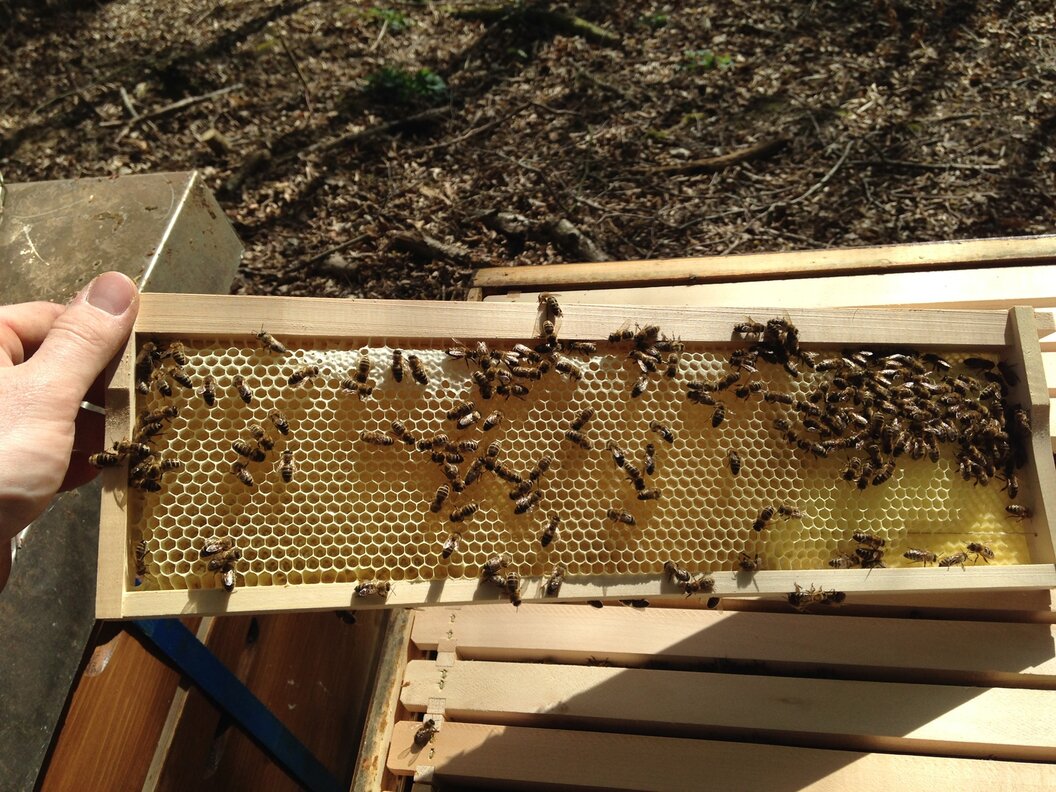 180593498_2892104387712783_7545436851155236693_n