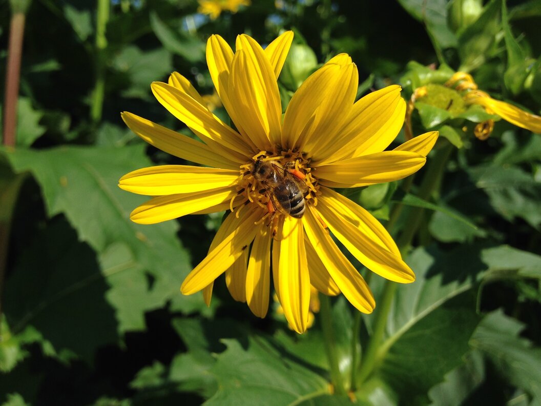 182399359_2894886507434571_3766129484158634957_n