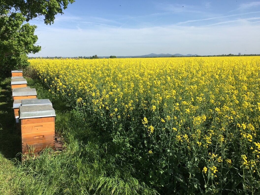 182976907_2896974983892390_2036711540697096359_n