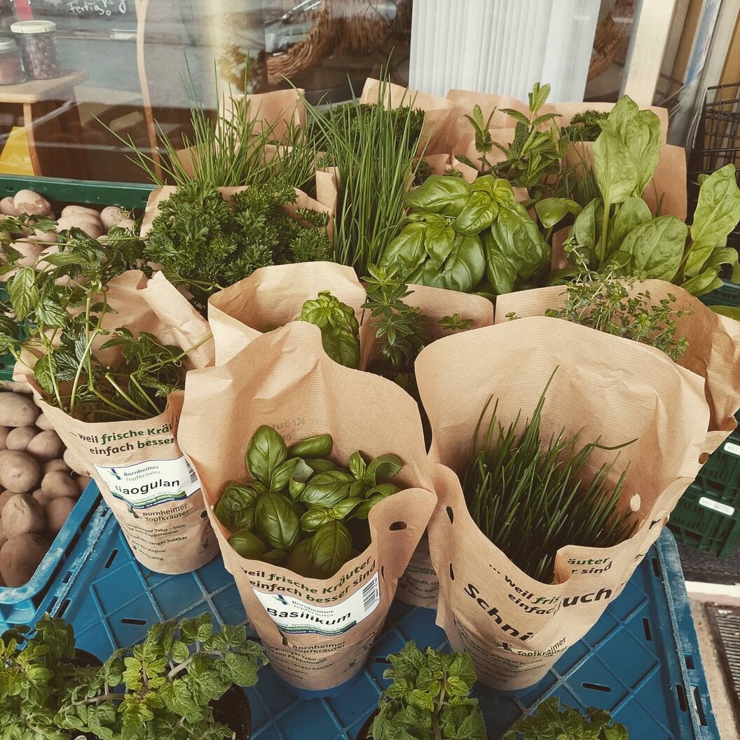 183394006_334273231452628_2525743056255773397_n