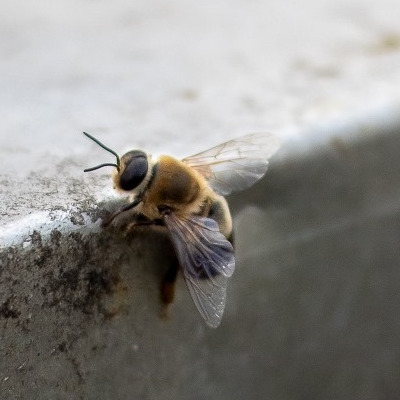 185530232_2899904326932789_4419290045806573534_n