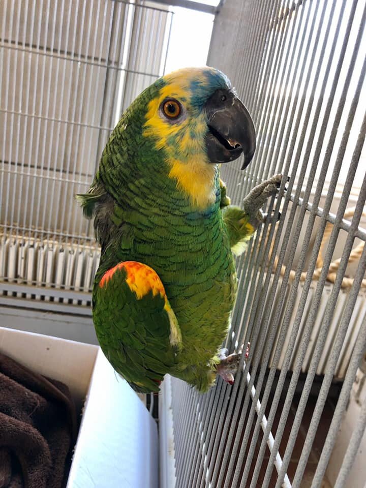 187154952_5886692621371623_5381558423973058752_n