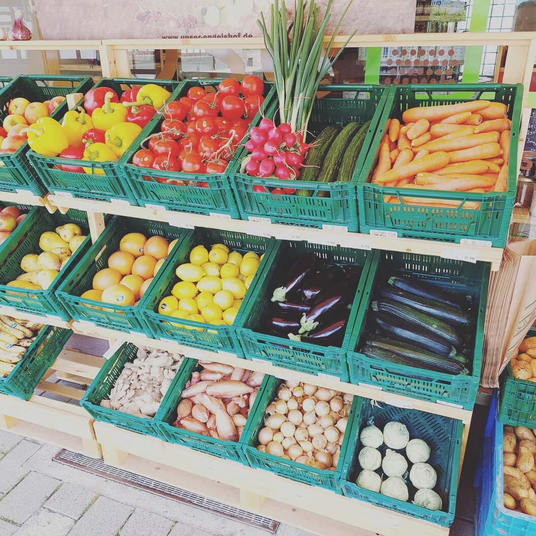 193339310_352146989665252_364329233291726256_n