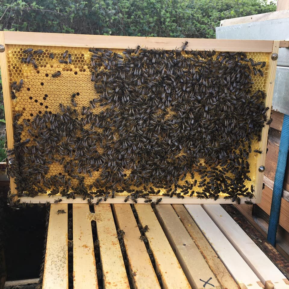 201152454_2927072800882608_8438641733365128180_n