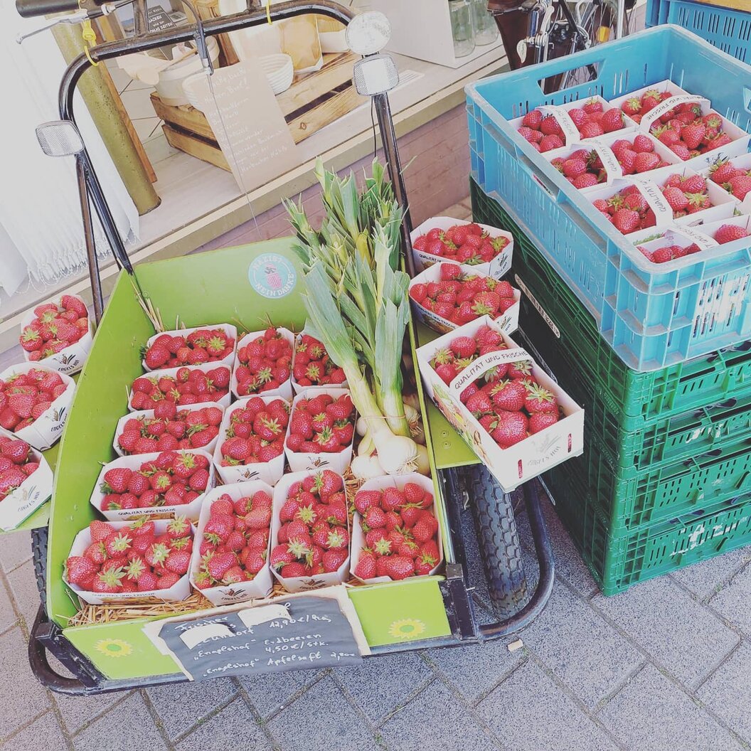 201242628_358425969037354_3076045038796321830_n