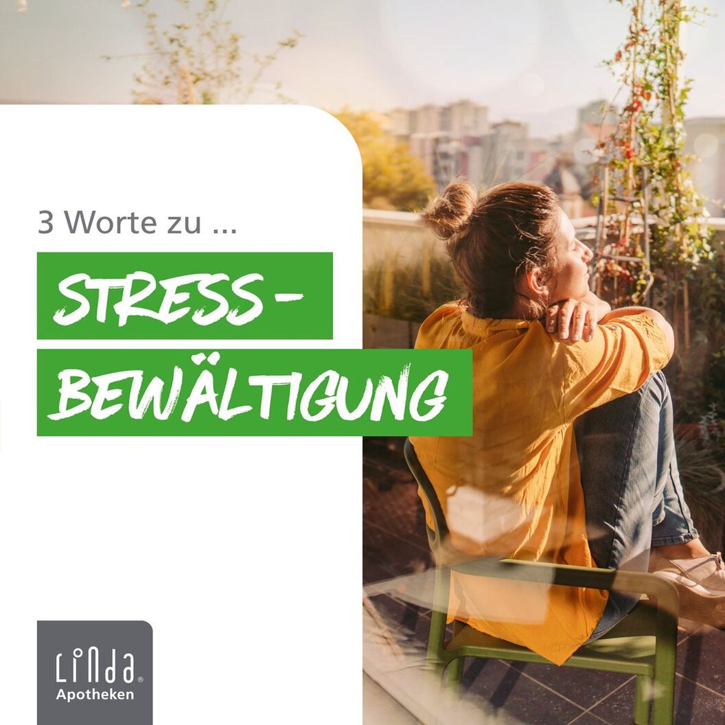 214953923_4316098105095555_9130401336046387391_n