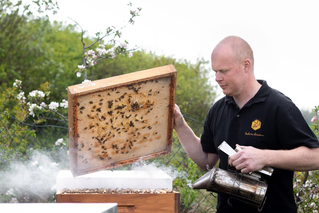 236244968_2968081313448423_1498881291329986975_n