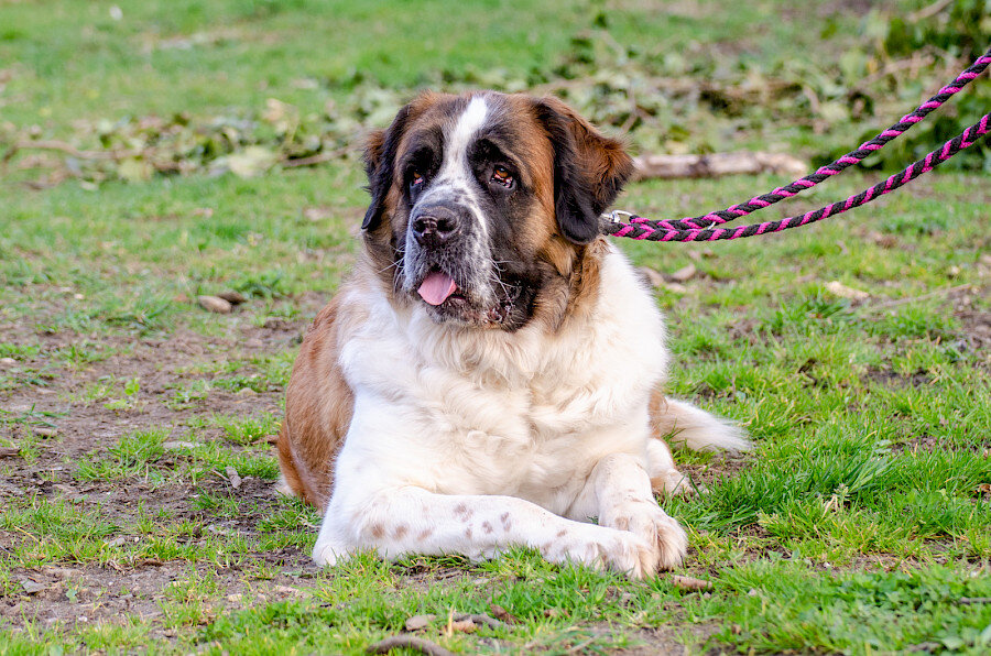 5E09109C-CBC7-457A-9BFE-71B45E0AC859