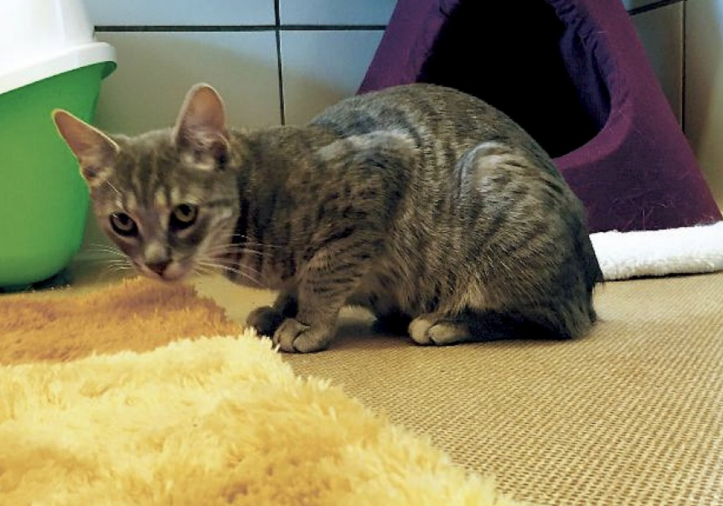 Bildschirmfoto 2020-10-03 um 13.45.09