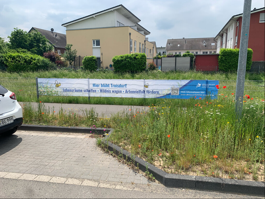 Blühstreifen_-_Versickerungsbecken_Am_Krausacker_unmittelbar_gegenüber_dem_Neubaugebiet_der_Astrid-Lindgren-Str