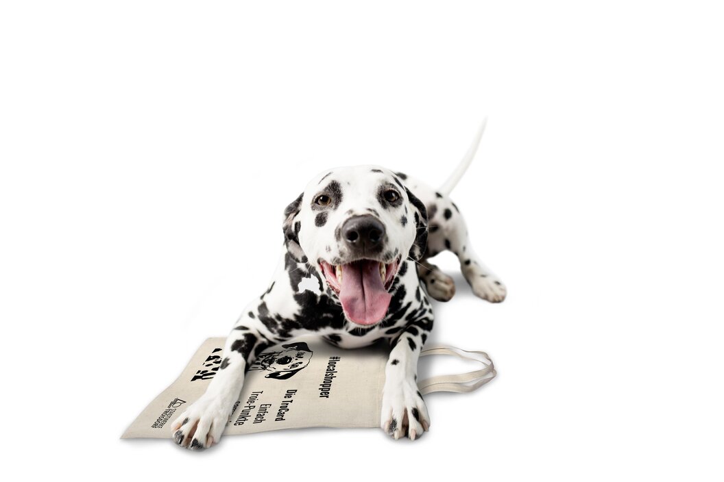 Dalmatiner_auf_Jute_Beutel