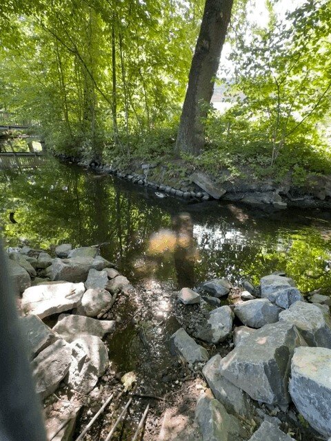 Einlauf_manzbach_neu