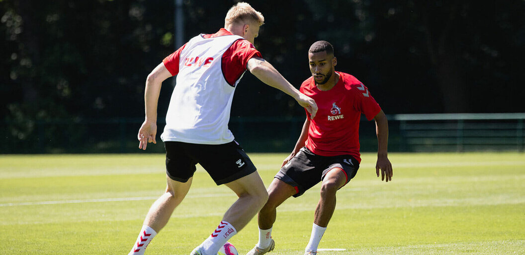 fc köln
