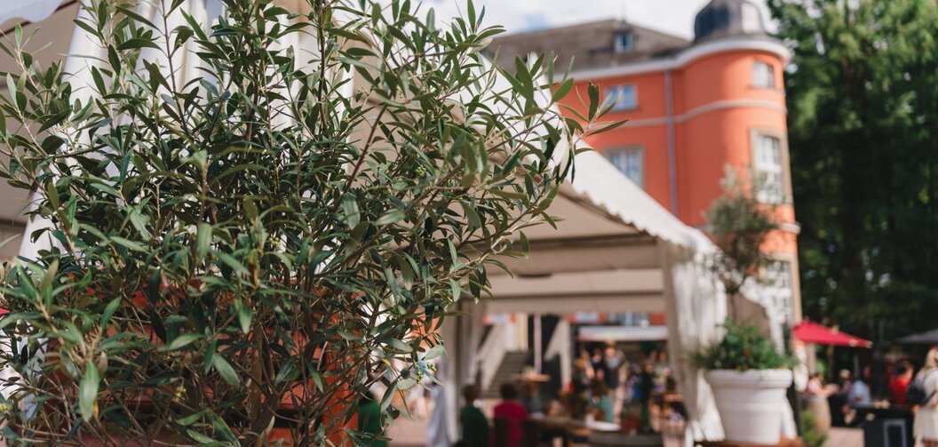 gourmetsommer-burg-wissem