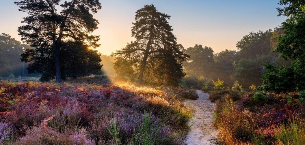 kalender-wahner-heide-2025-09