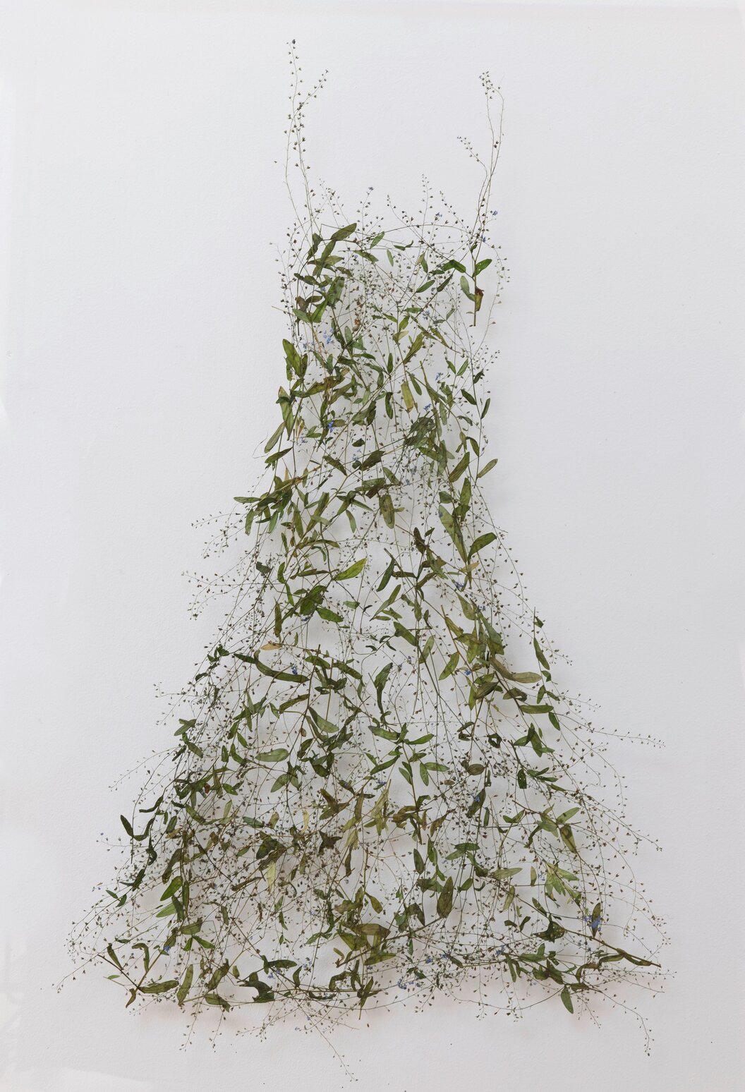 Lindauer_-_Vergissmeinnicht