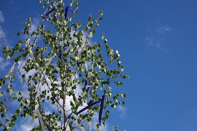 maypole-g42e21e781_640