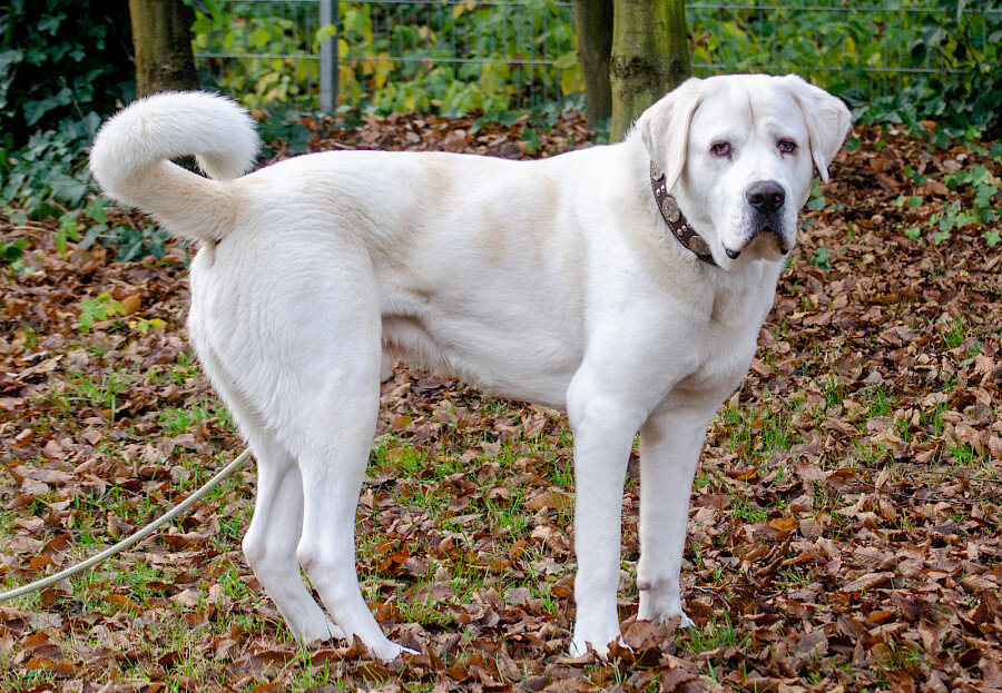 nemo-211128-019.900x0