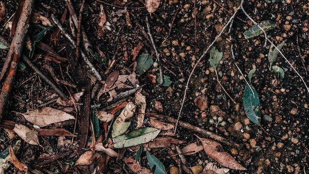 pexels-rachel-claire-4846396 (1)