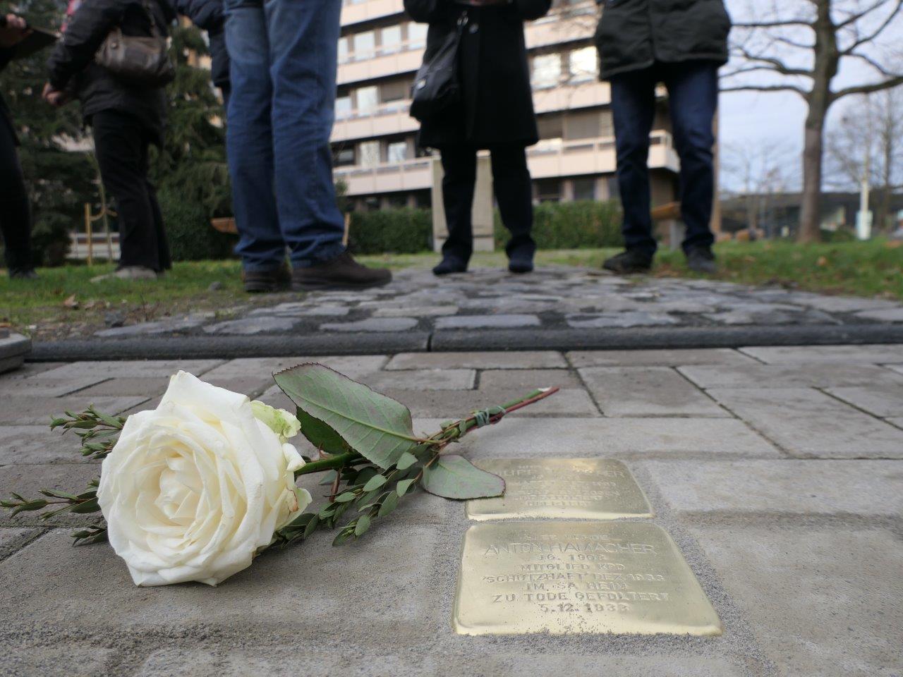 Presse_Stolpersteine_Anton_und_Philipp_Hamacher_und_Gertrud_Brenner_Jablonski_Demnig_Stationsweg_Nordstraße__93_