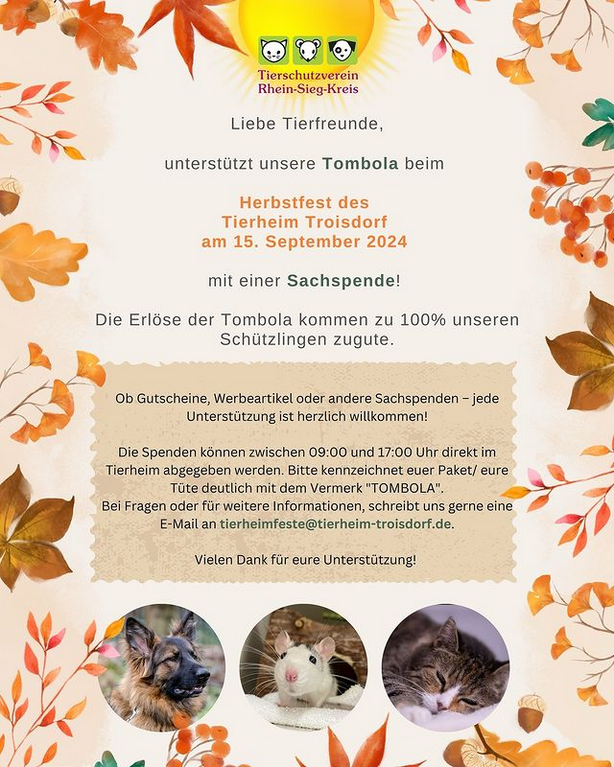 Screenshot 2024-08-14 at 12-51-03 Alle Beiträge • Instagram