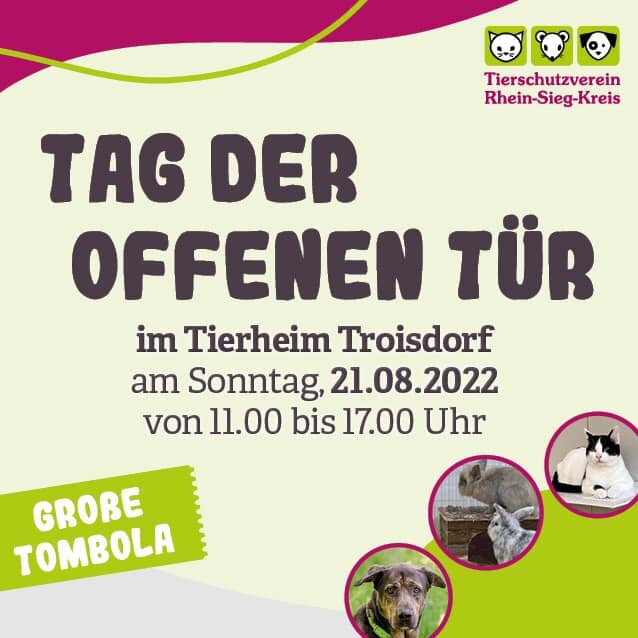tierheim