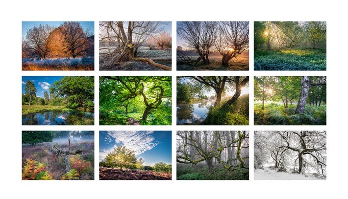 Wahner_Heide_Kalender_Übersicht_Pütz