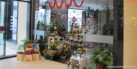 Flowerking in der Galerie Troisdorf