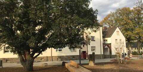 Der Ursulaplatz Anfang Dezember.