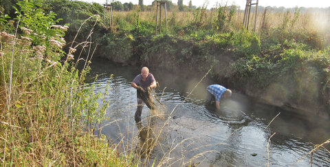 Drei Wochen lang wurde der Sieglarer Mühlengraben auf einer Länge von sechs Kilometern gereinigt.