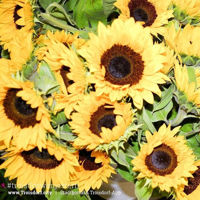 Sonne  in Sicht Am Sonntag wird es richtig super  Genießt den Sommer mit Blumen  Eis oder ab ins Aggua Freibad