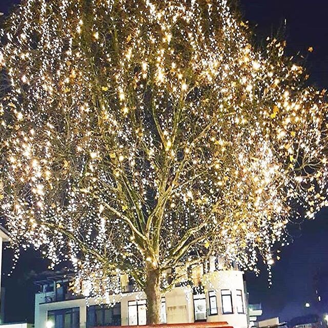 Wir lieben diese Lichter in der Weihnachtszeit  Danke an sunshinesnaildesign für diesen Schnappschuss